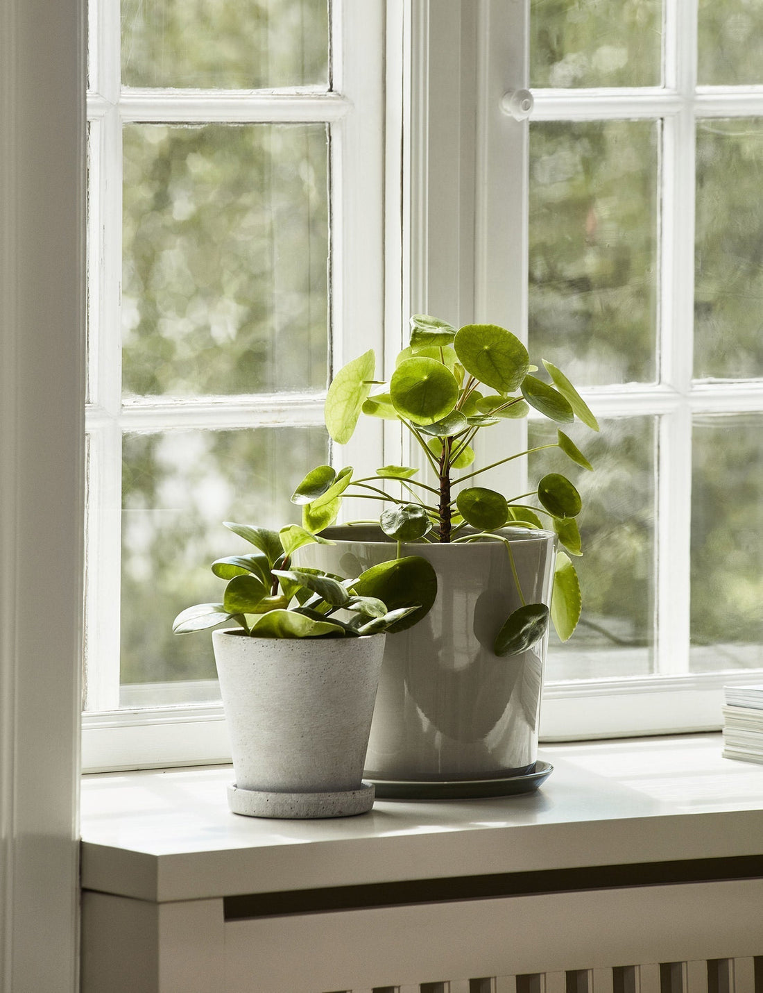 Flowerpot with Saucer